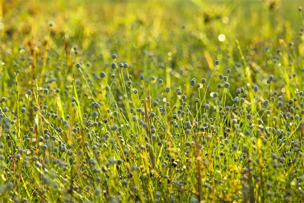 50岁生日祝福短信83句