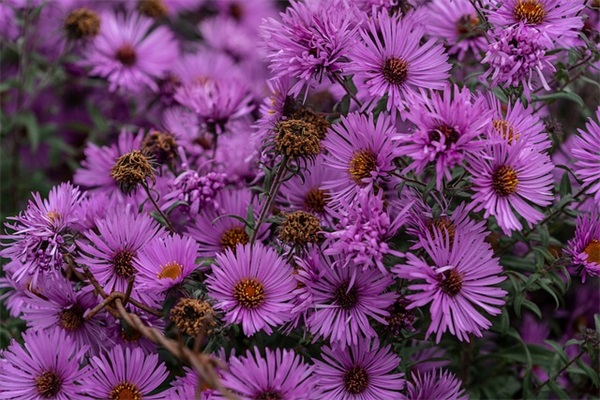 生日快乐创意短信80句