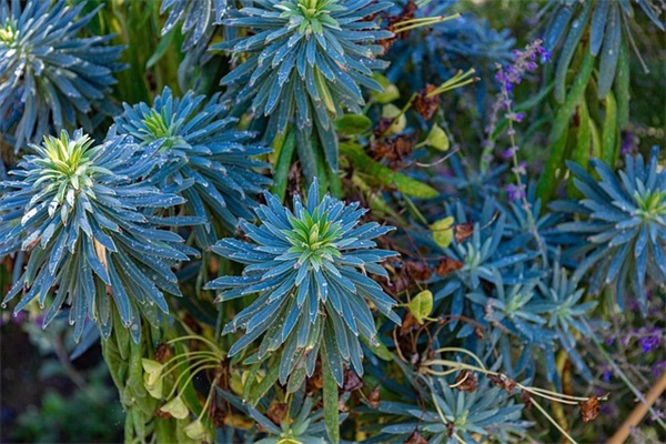 感恩顾客短信82句