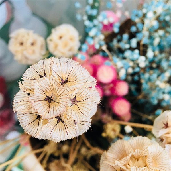 七夕情人节创意短信83句