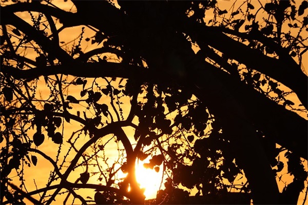 给老公的伤感短信82句