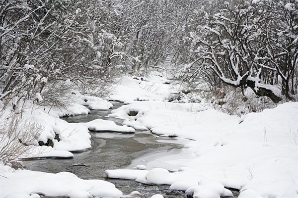 安慰病人的短信89句