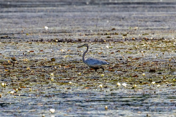 五一祝福短信给老师79句