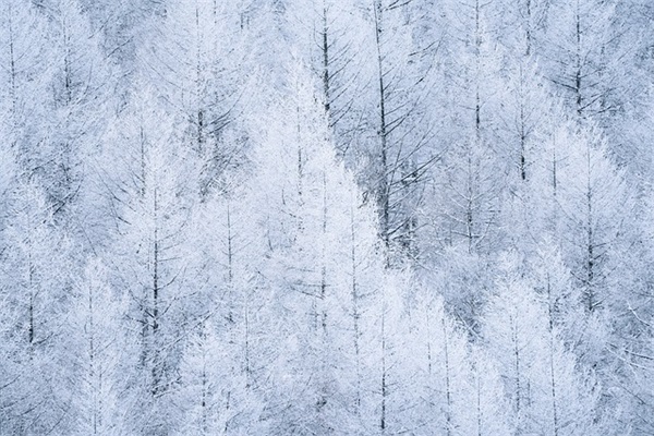 具有创意的祝福短信67句