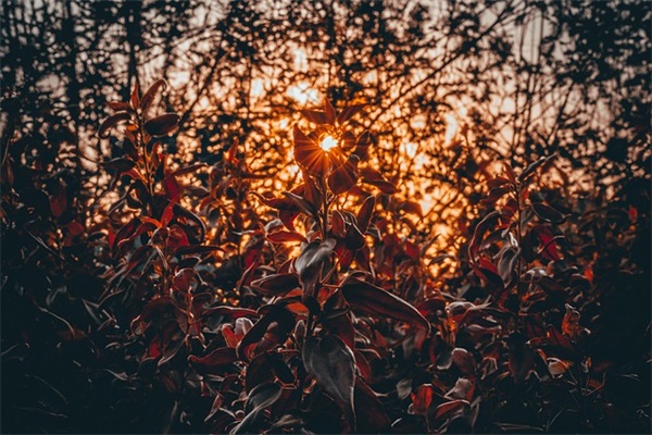 中秋节给爸爸的短信82句