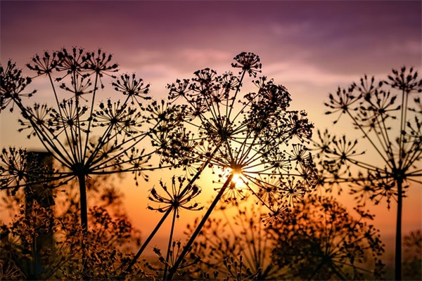 安慰心情不好的短信81句