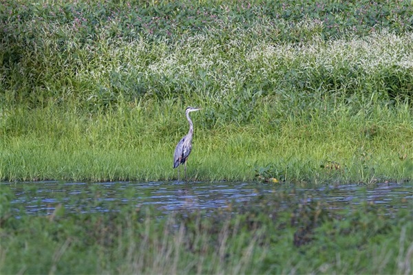 圣诞节情侣短信81句