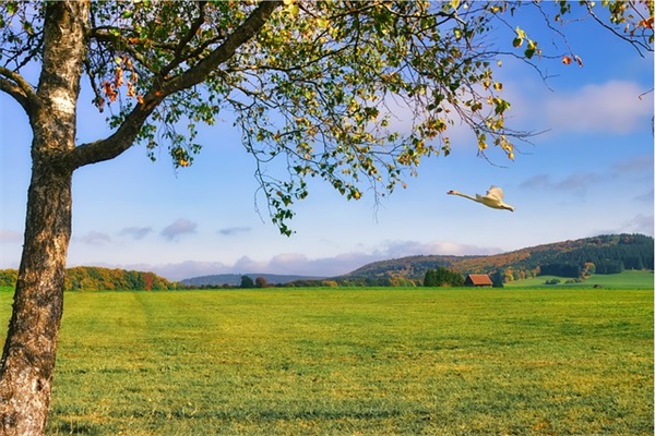 圣诞节表白的短信82句