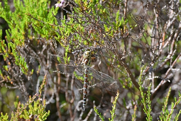 企业生日祝福短信80句