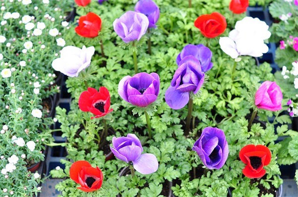 关心男朋友的短信81句