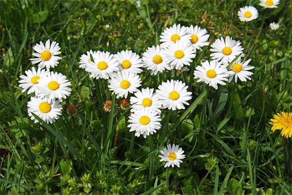 发给客户的生日短信82句