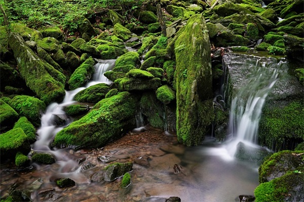 生日短信长辈82句