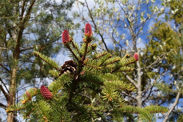 宝宝满月酒邀请短信大全68句