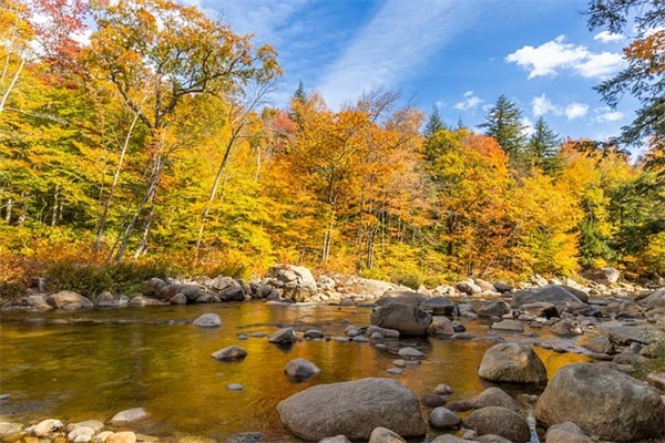 五一节日搞笑短信80句