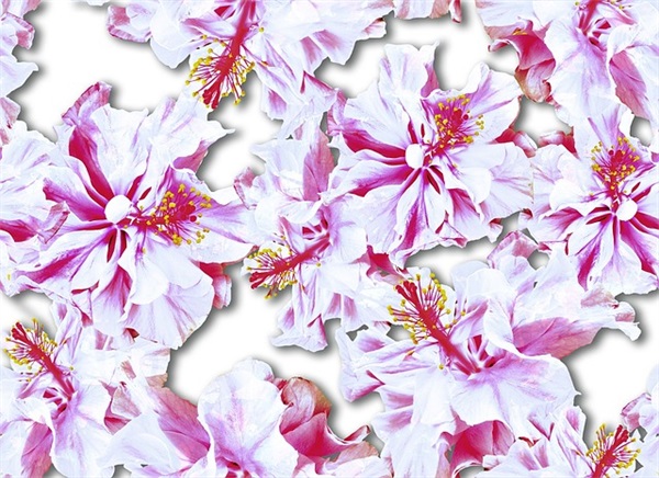 情人生日祝福短信大全81句