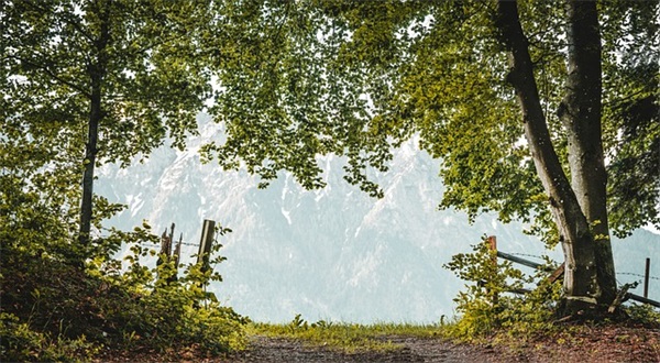 情人节幽默笑话短信80句