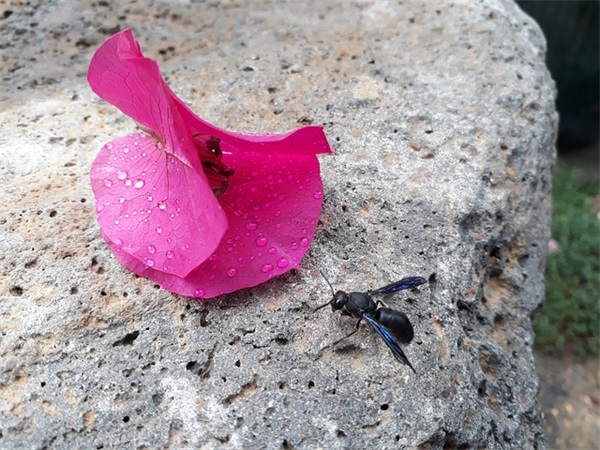 换手机号短信67句