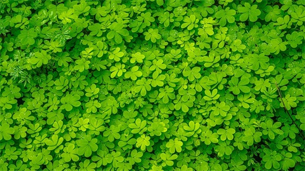 给女情人的暧昧短信91句