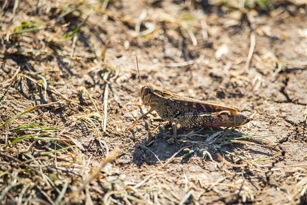 元宵节祝福幽默短信82句