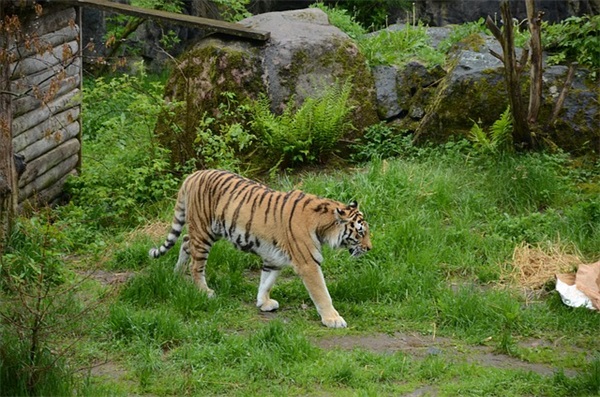 五一祝贺短信81句