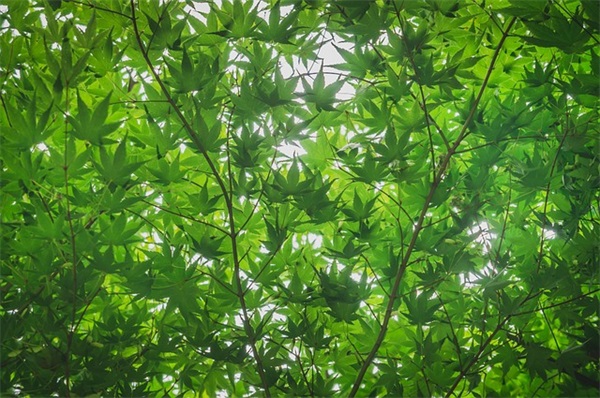 道歉短信哄女孩子感动84句