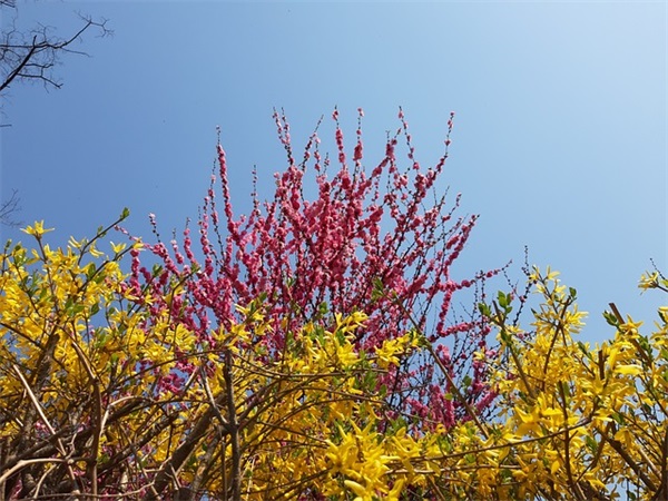 病人安慰短信85句