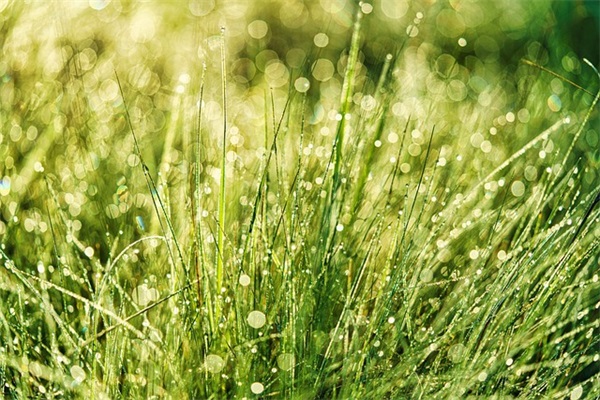 七夕节幽默短信82句