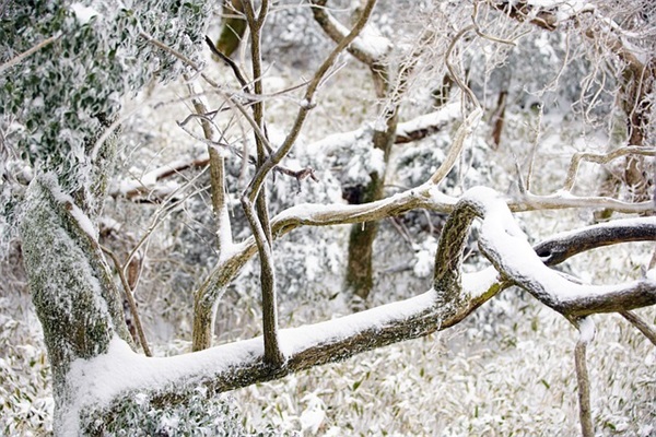 同事领导生日祝福短信85句