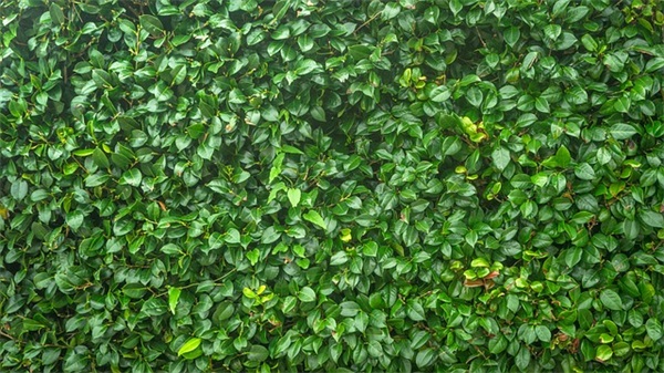 让女朋友感动哭的短信80句