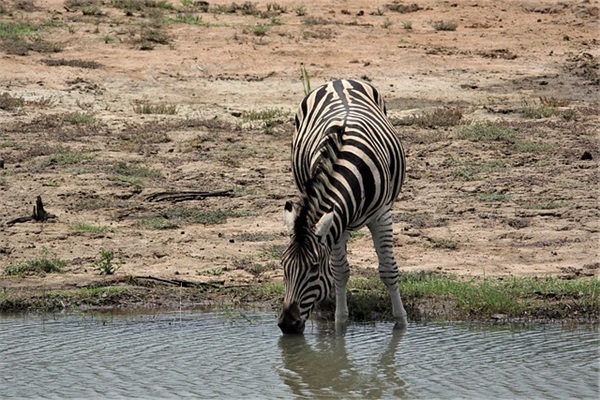 祝福长辈的短信82句