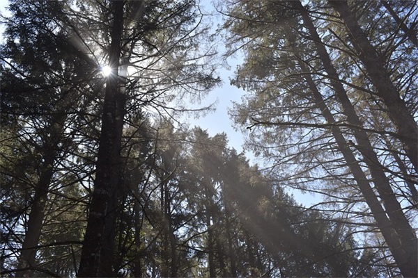 前女友生日短信80句