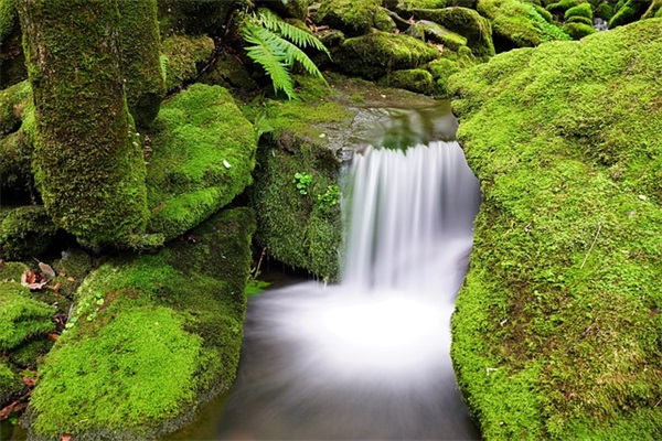 廉政短信2025年97句