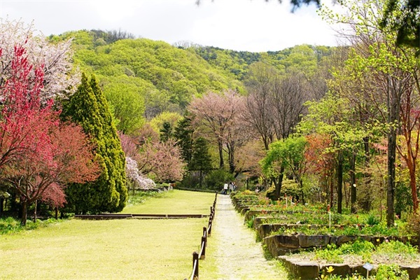 圣诞祝福短信英语