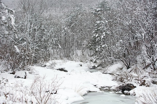 祝客户生日快乐短信77句