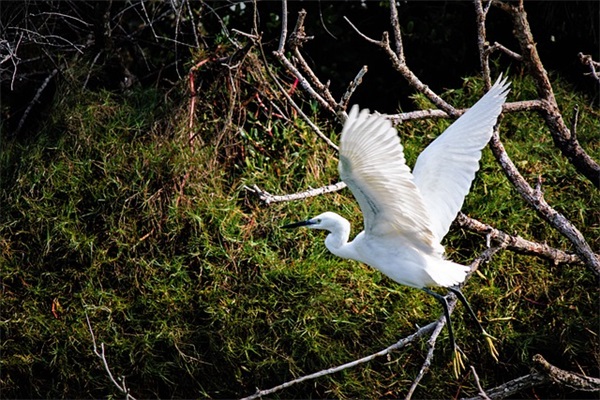 追女孩幽默短信84句