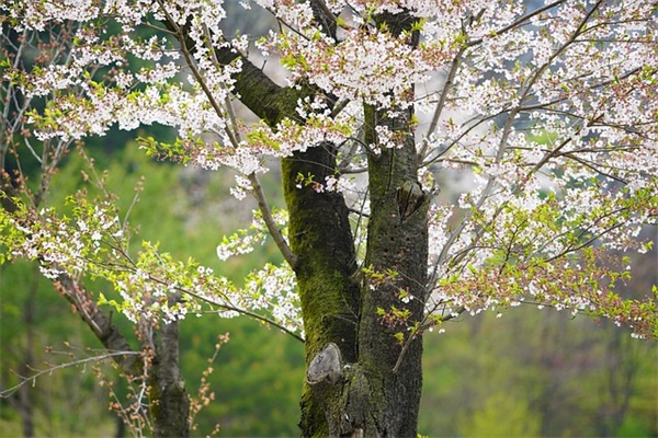 搞笑的元宵节短信81句