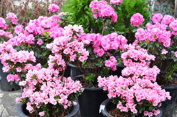 给情人道歉的短信80句