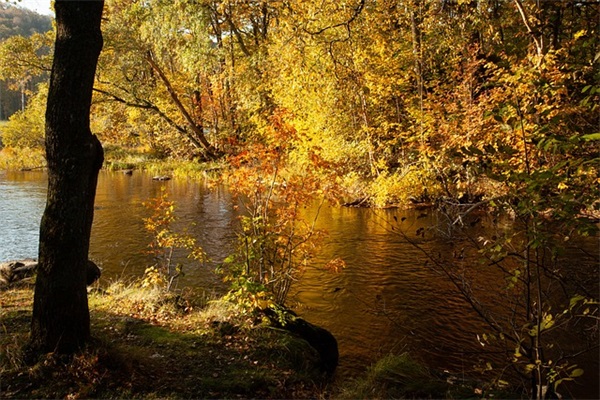 安慰失去亲人的话短信59句