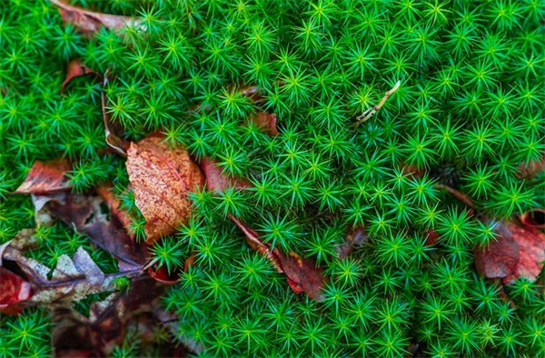 下属祝贺领导升迁短信62句