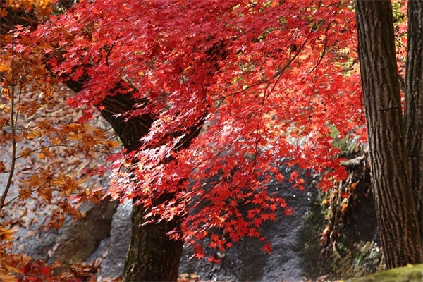 伤感哲理短信90句