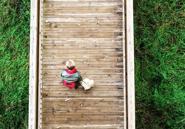 关于2025年过年的短信54句