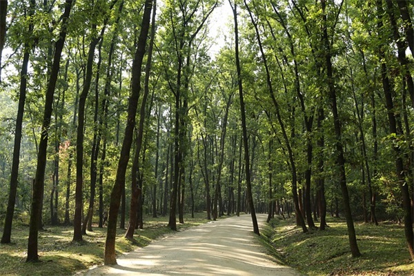 搞笑的结婚邀请短信52句