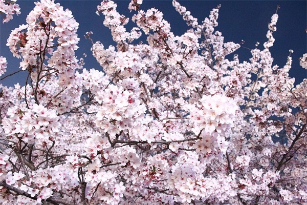 客户周末祝福短信2025年54句