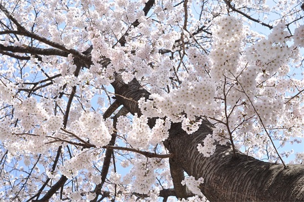 银行端午节祝福短信2025年56句