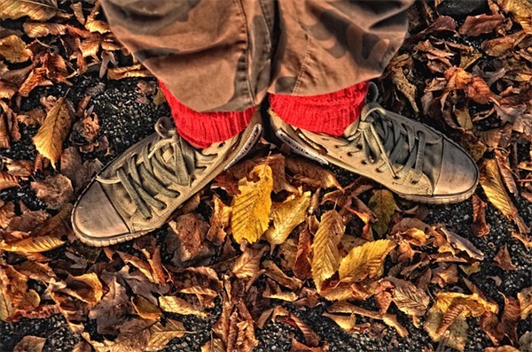 2025年新年问候短信54句