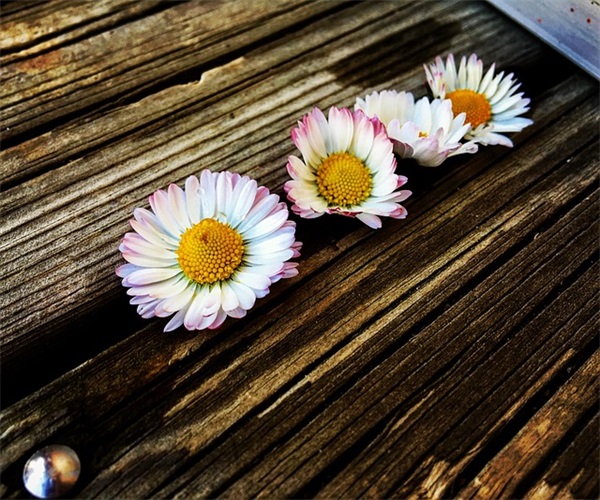 伤感性经典语录84句