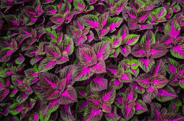 和谁在一起很重要短语 圈子决定格局经典语录