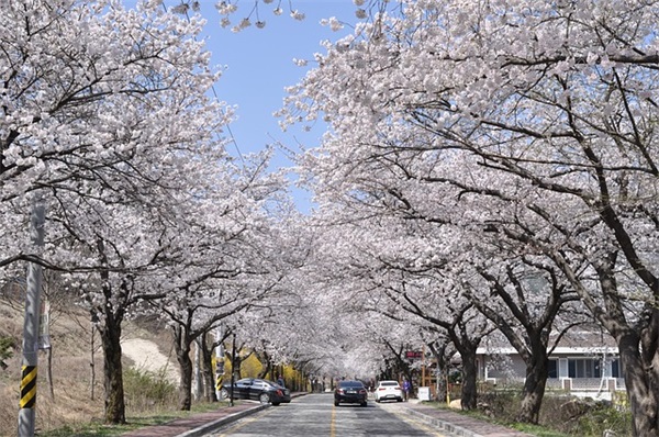 每日一句心情语录90句