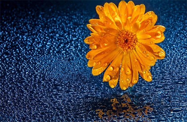 期末考试鼓励学生的励志正能量句子 期末考试激励学生的正能量语录