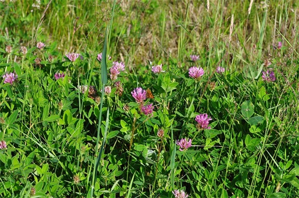 2025高考励志语录唯美 高三励志语录唯美简短